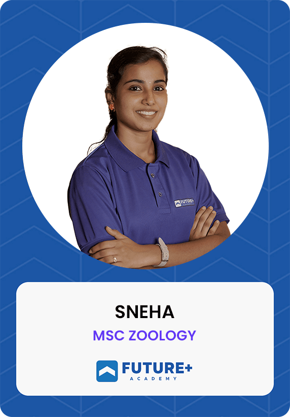 Team Member 26